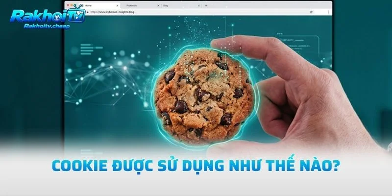 Cookie Được Sử Dụng Như Thế Nào?